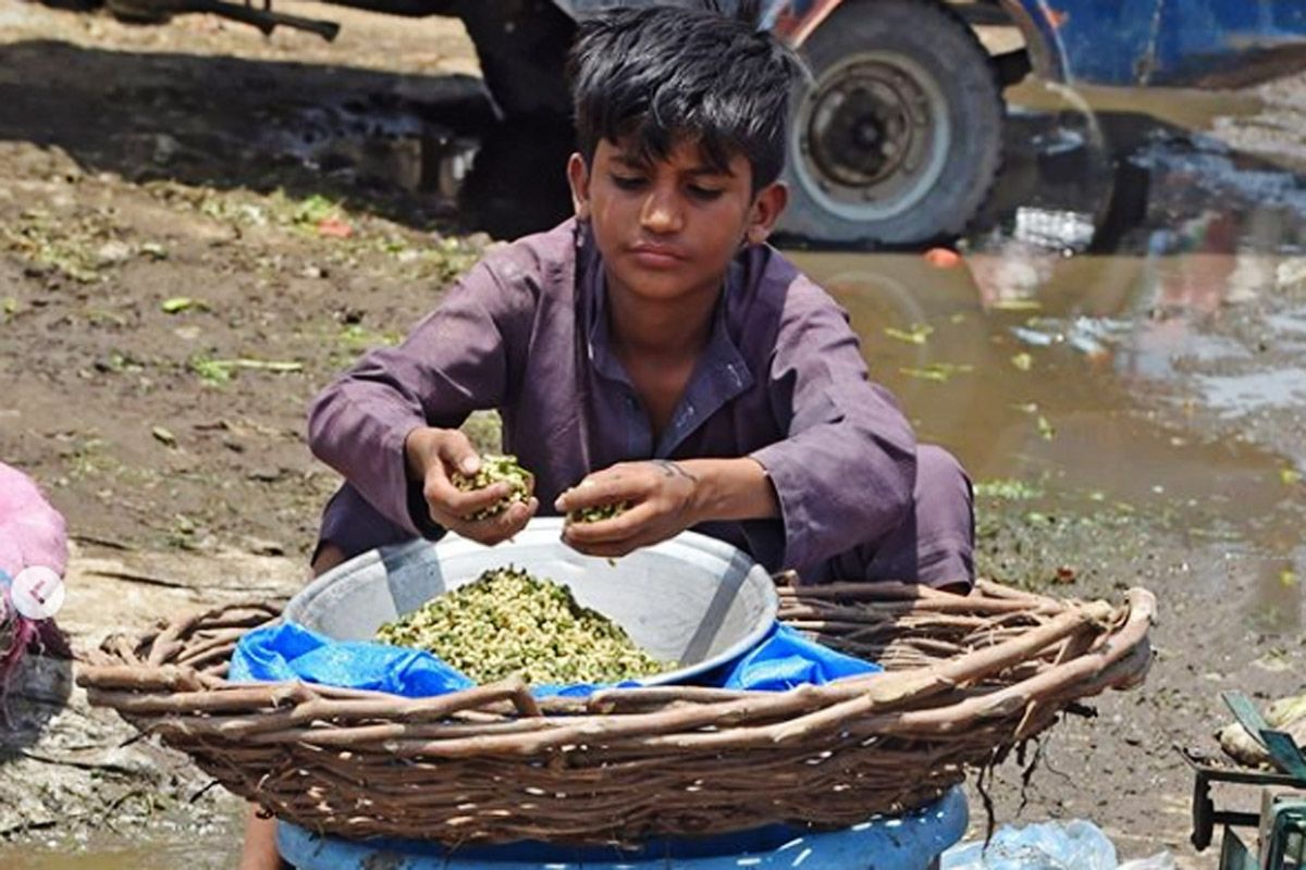 child labour solutions