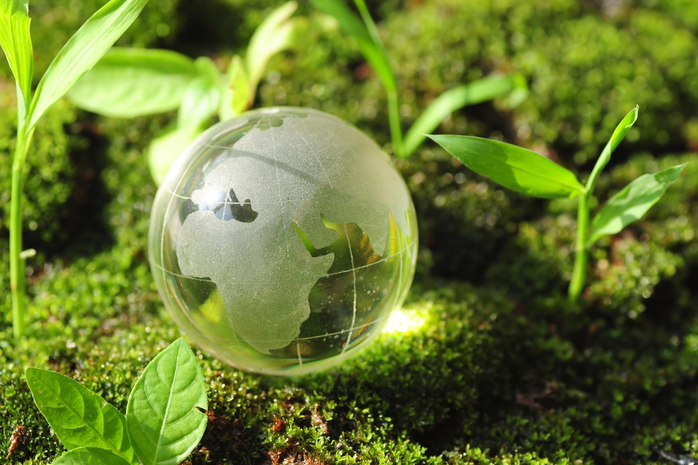 World Environment Day  