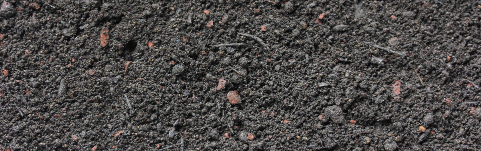 Black Earth Soil