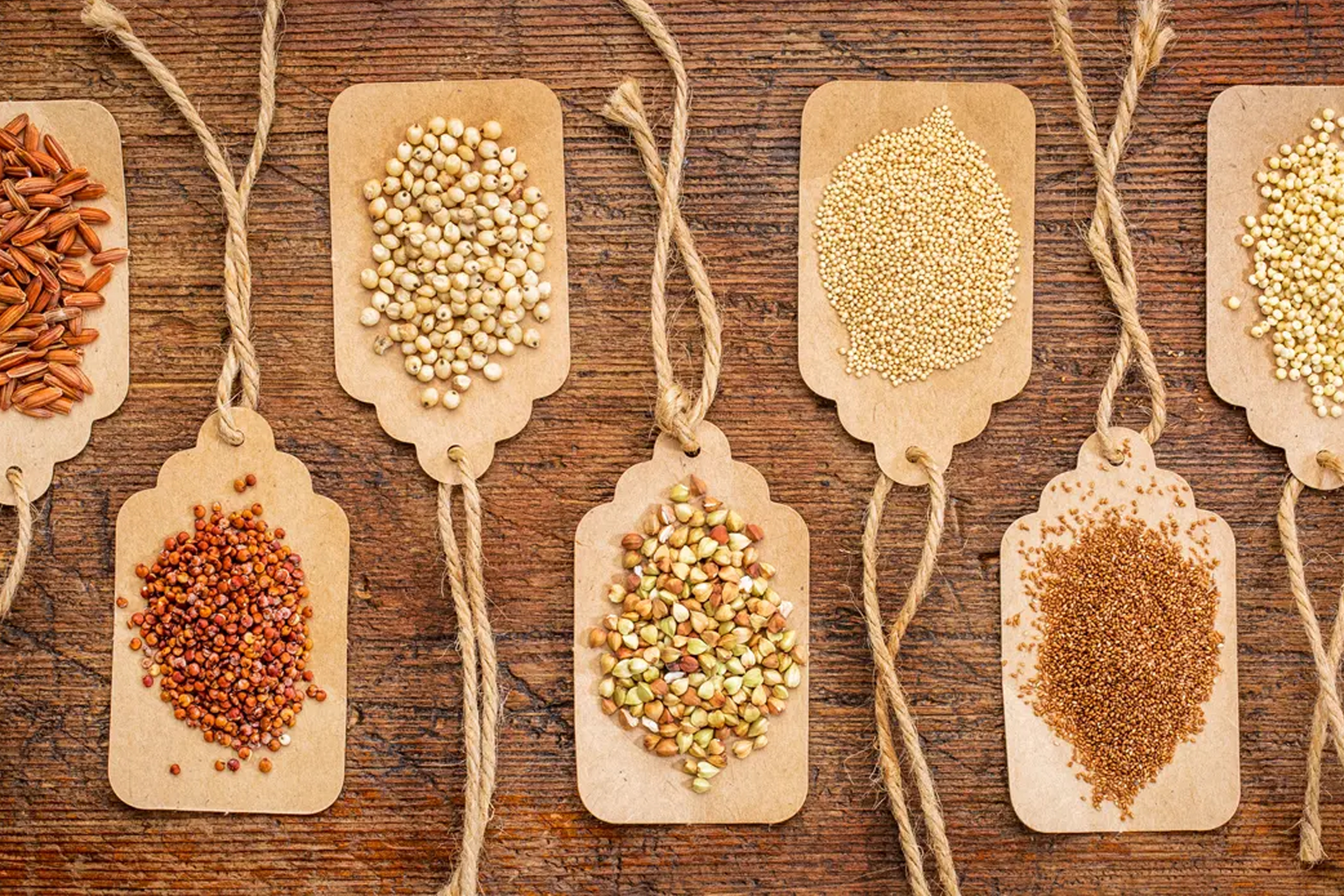 International Year Of The Millets 2023 