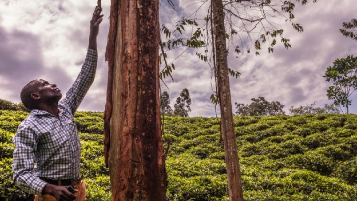 loss of biodiversity solutions