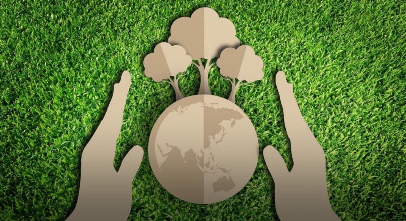 loss of biodiversity solutions