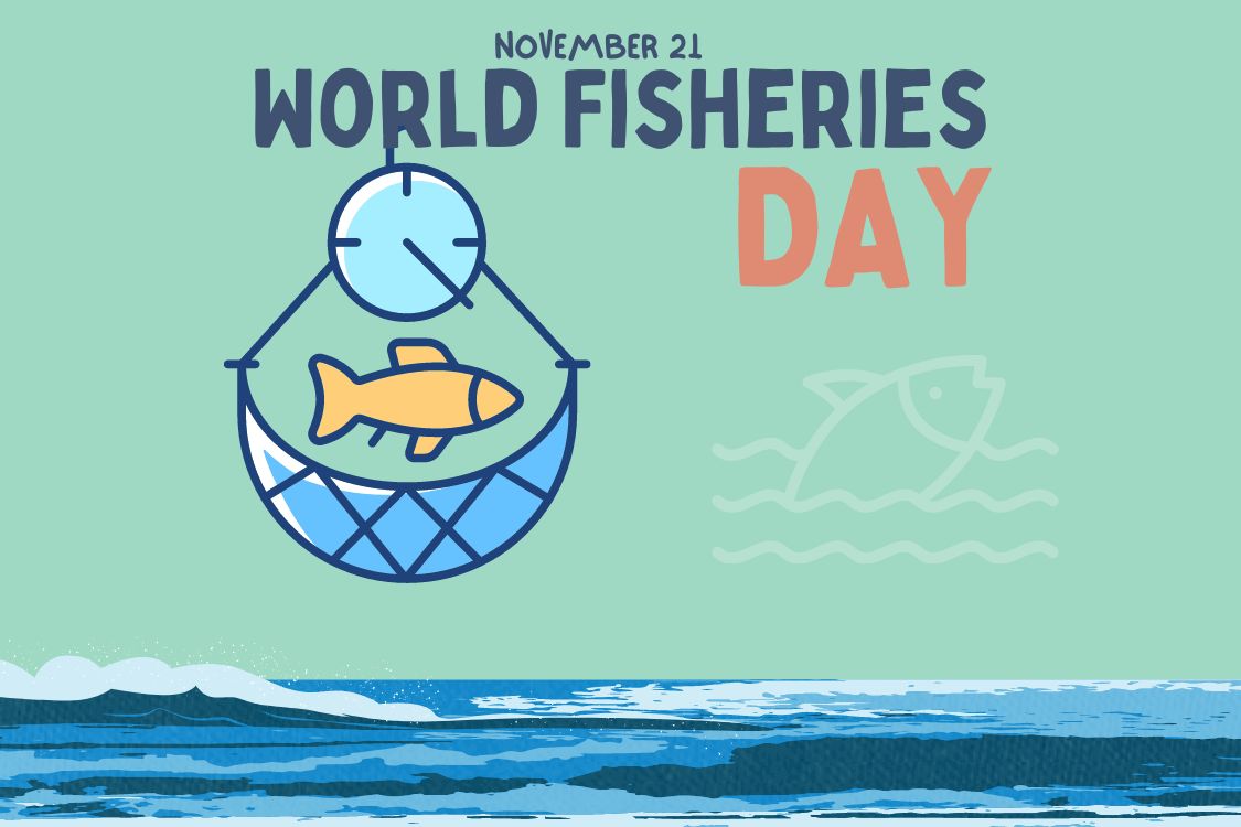 World Fisheries Day 2024
