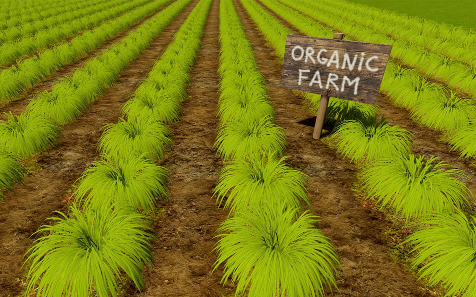 organic farming in India