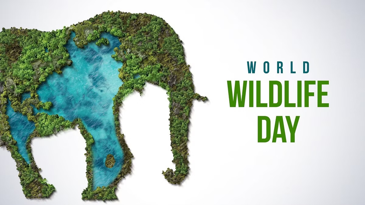 World Wildlife Day 2024