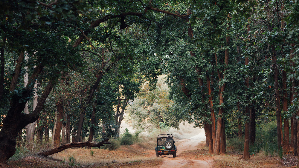 World Wildlife Day 2024