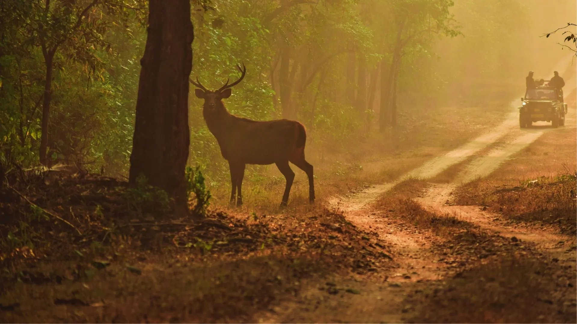 World Wildlife Day 2024